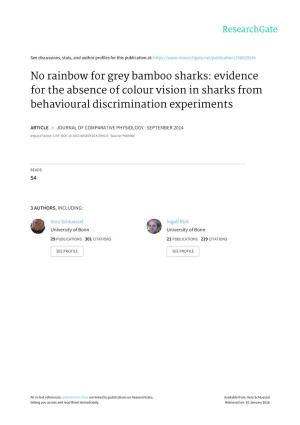 No Rainbow for Grey Bamboo Sharks: Evidence for the Absence of Colour Vision in Sharks from Behavioural Discrimination Experiments