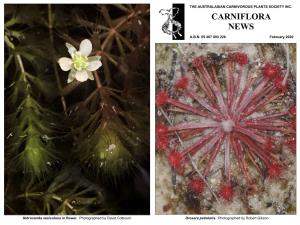 Carniflora News – February 2020 (PDF)