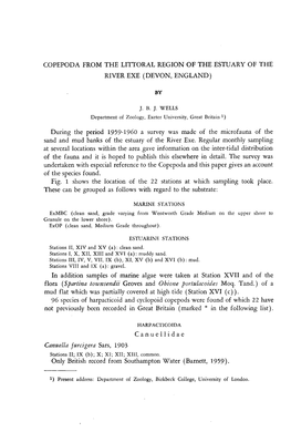 Copepoda from the Littoral Region of the Estuary of The