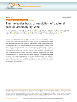 The Molecular Basis of Regulation of Bacterial Capsule Assembly by Wzc