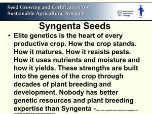 Syngenta Seeds • Elite Genetics Is the Heart of Every Productive Crop