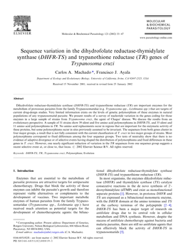Sequence Variation in the Dihydrofolate Reductase-Thymidylate Synthase (DHFR-TS) and Trypanothione Reductase (TR) Genes of Trypanosoma Cruzi