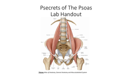 Psecrets of the Psoas Lab Handout