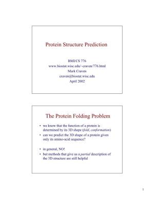 Protein Structure Prediction the Protein Folding Problem