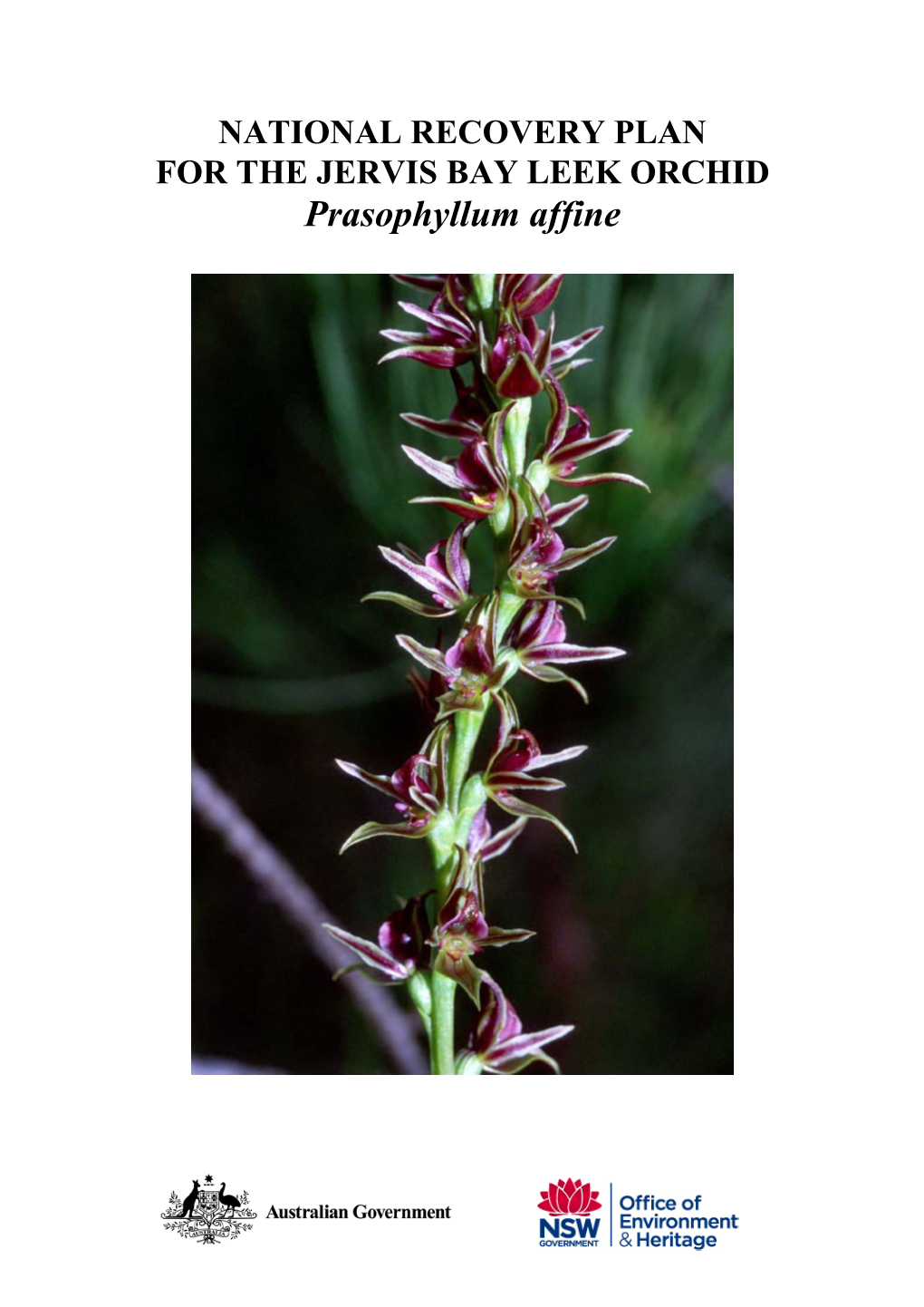 NATIONAL RECOVERY PLAN for the JERVIS BAY LEEK ORCHID Prasophyllum Affine