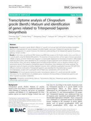 Transcriptome Analysis of Clinopodium Gracile (Benth