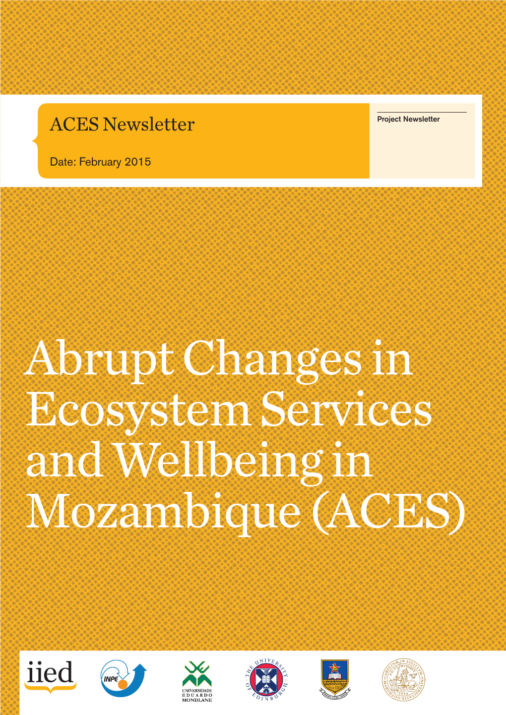 ACES Newsletter Project Newsletter