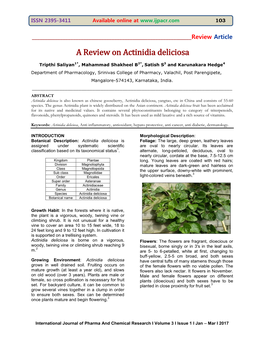 A Review on Actinidia Deliciosa