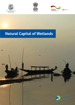 Natural Capital of Wetlands