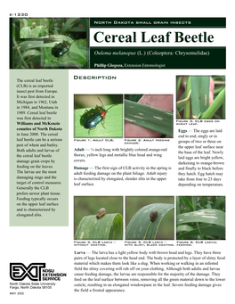 Cereal Leaf Beetle Oulema Melanopus (L.) (Coleoptera: Chrysomelidae)
