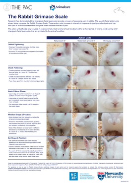 The Rabbit Grimace Scale Research Has Demonstrated That Changes in Facial Expression Provide a Means of Assessing Pain in Rabbits