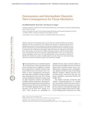 Desmosomes and Intermediate Filaments: Their Consequences for Tissue Mechanics