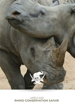 Jabulani Rhino Conservation Safari Help to Keep the Endangered Rhino Alive Jabulani