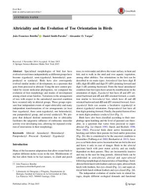 Altriciality and the Evolution of Toe Orientation in Birds