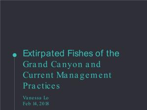 Extirpated Fishes of the Grand Canyon and Current Management Practices
