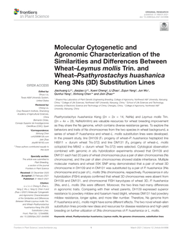 Molecular Cytogenetic and Agronomic Characterization of the Similarities and Differences Between Wheat–Leymus Mollis Trin