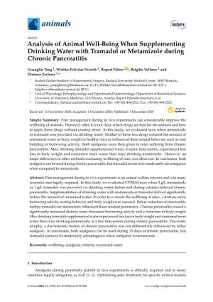 Analysis of Animal Well-Being When Supplementing Drinking Water with Tramadol Or Metamizole During Chronic Pancreatitis