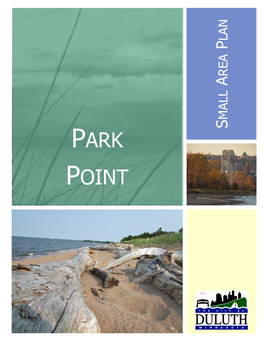 Park Point Small Area Plan Are Contained in Appendix a 2 Park Point Small Area Plan TABLE of CONTENTS