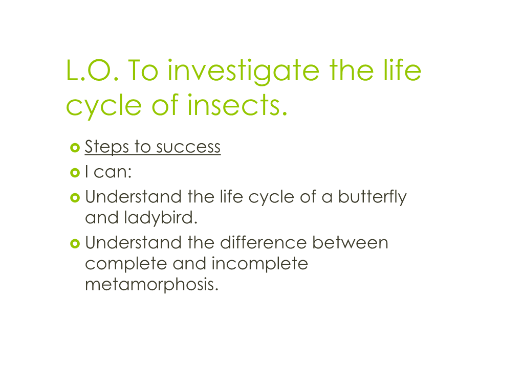 the-life-cycle-of-a-butterfly-and-ladybird-docslib