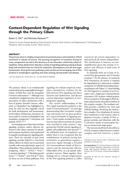 Context-Dependent Regulation of Wnt Signaling Through the Primary Cilium
