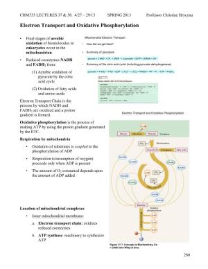 Lecture 37 & 38: Electron Transport Chain and Oxidative Phosphorylation