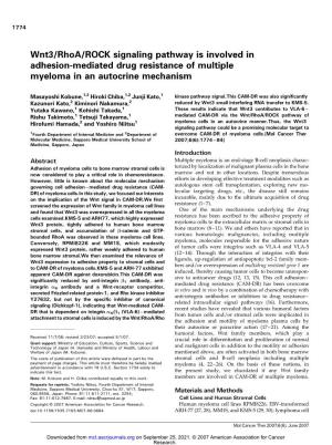 Wnt3/Rhoa/ROCK Signaling Pathway Is Involved in Adhesion-Mediated Drug Resistance of Multiple Myeloma in an Autocrine Mechanism