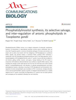 Toxoplasma Gondii ✉ Bingjian Ren1, Pengfei Kong1, Fatima Hedar1, Jos F