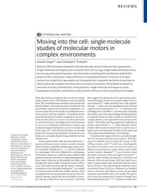 Review of Molecular Motors