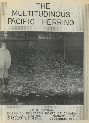 Pacific Herring