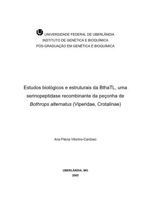 Estudos Biológicos E Estruturais Da Bthatl, Uma Serinopeptidase Recombinante Da Peçonha De Bothrops Alternatus (Viperidae, Crotalinae)