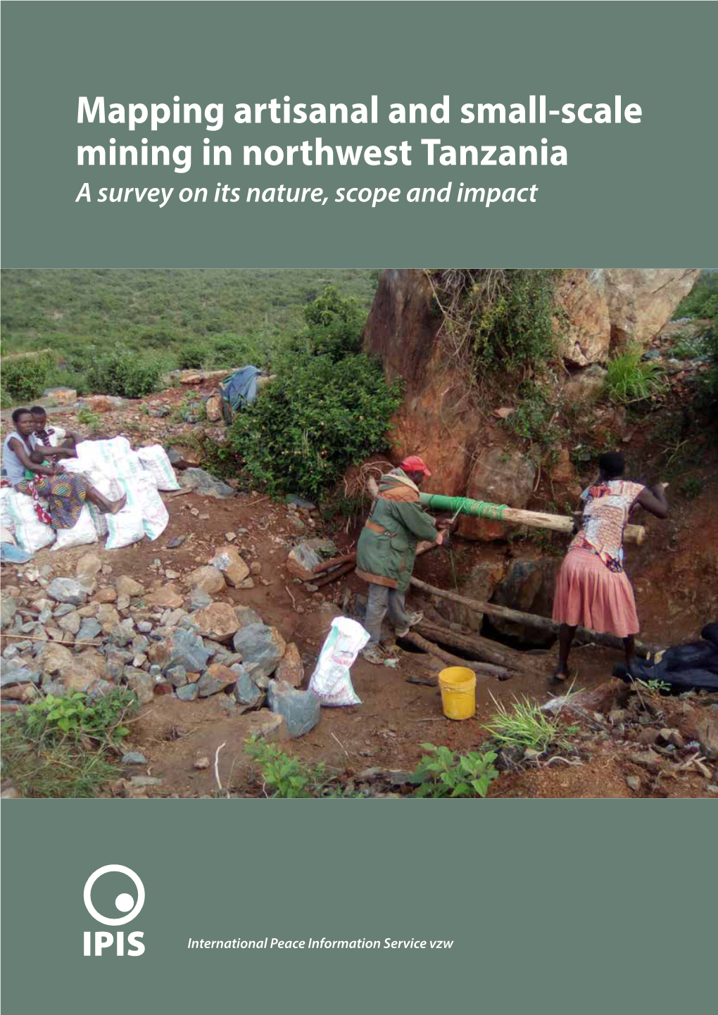 Mapping Artisanal and Small-Scale Mining in Northwest Tanzania a Survey on Its Nature, Scope and Impact