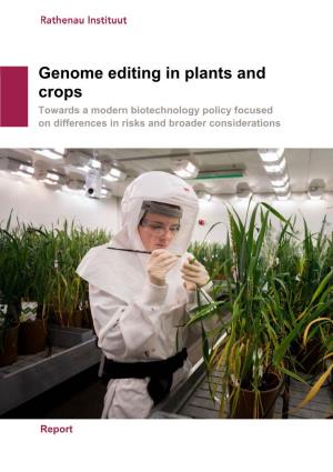 Genome Editing in Plants and Crops Towards a Modern Biotechnology Policy Focused on Differences in Risks and Broader Considerations