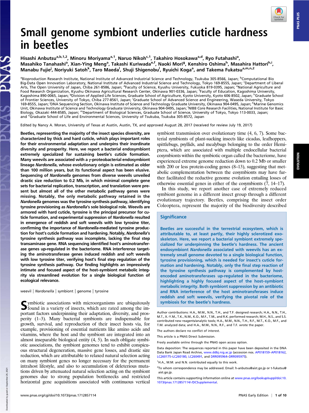 Small Genome Symbiont Underlies Cuticle Hardness in Beetles