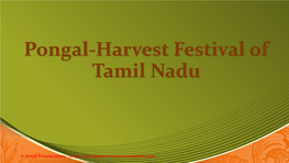 Pongal-Harvest Festival of Tamil Nadu