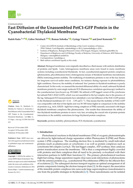 Fast Diffusion of the Unassembled Petc1-GFP Protein in the Cyanobacterial Thylakoid Membrane