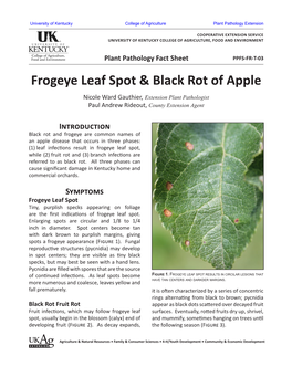 Frogeye Leaf Spot & Black Rot of Apple