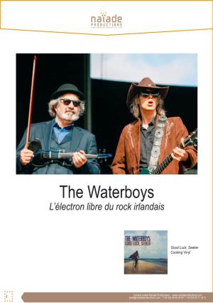 The Waterboys L’Électron Libre Du Rock Irlandais