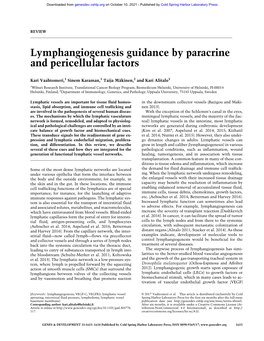 Lymphangiogenesis Guidance by Paracrine and Pericellular Factors