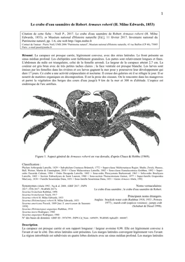 1 Le Crabe D'eau Saumâtre De Robert Armases Roberti