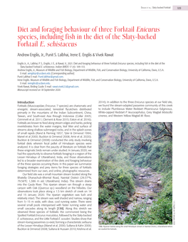 Diet and Foraging Behaviour of Three Forktail Enicurus Species, Including Fish in the Diet of the Slaty-Backed Forktail E