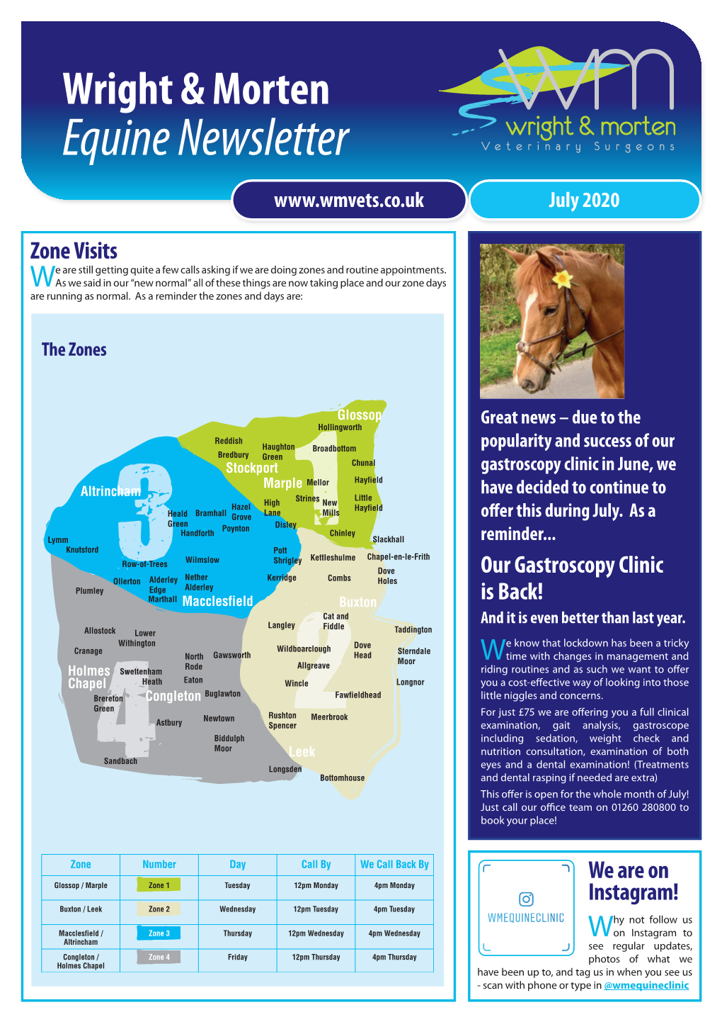 Equine Newsletter