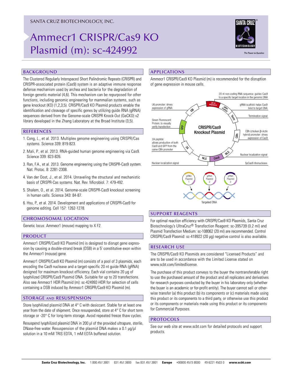 Ammecr1 CRISPR/Cas9 KO Plasmid (M): Sc-424992