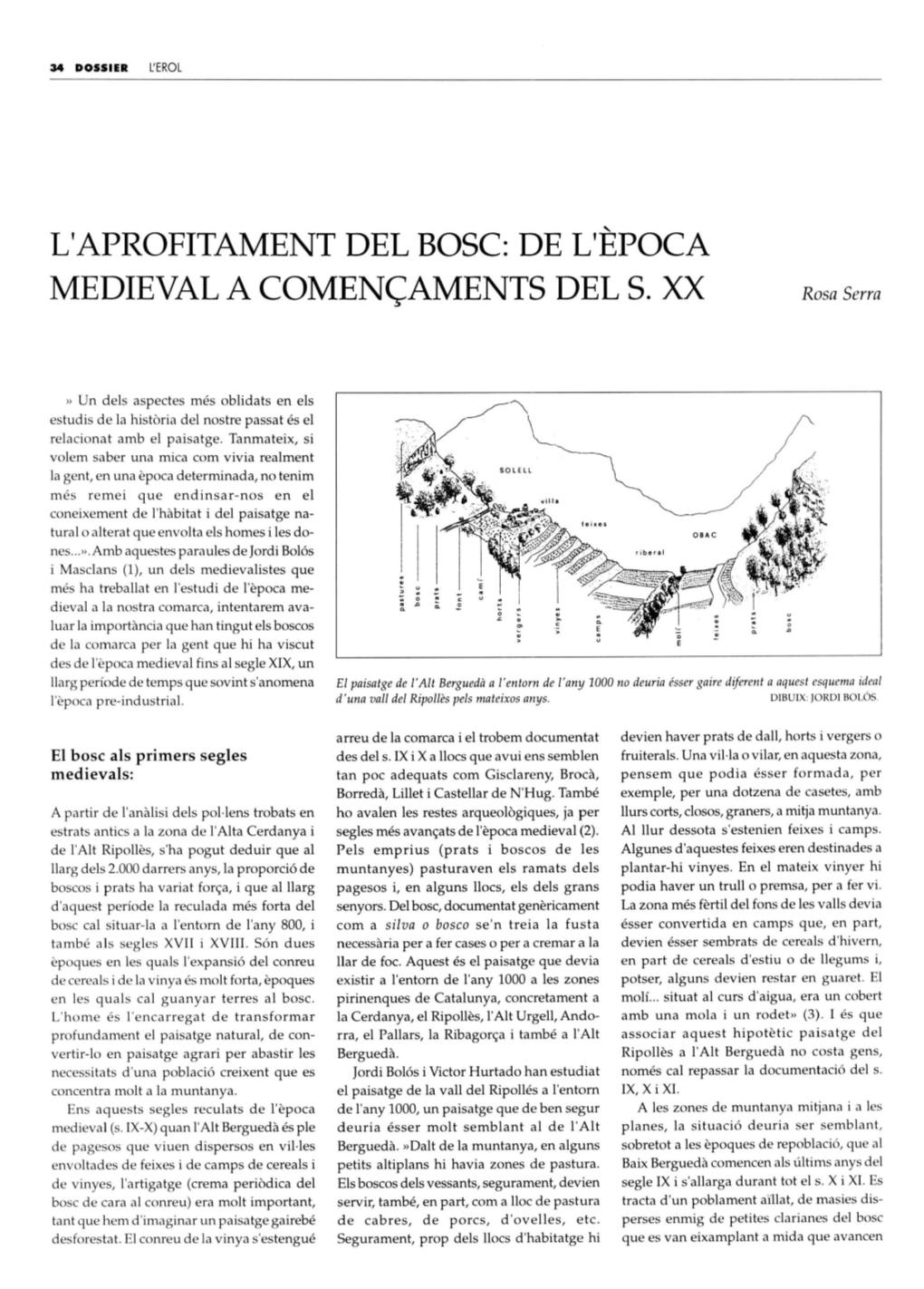 L'aprofitament DEL BOSC: DE L'epoca MEDIEVAL a COMENC::AMENTS DEL S. XX Rosa Serra