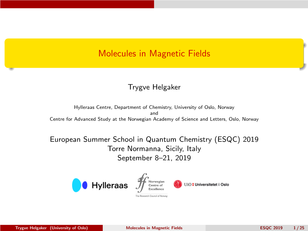 Molecules in Magnetic Fields