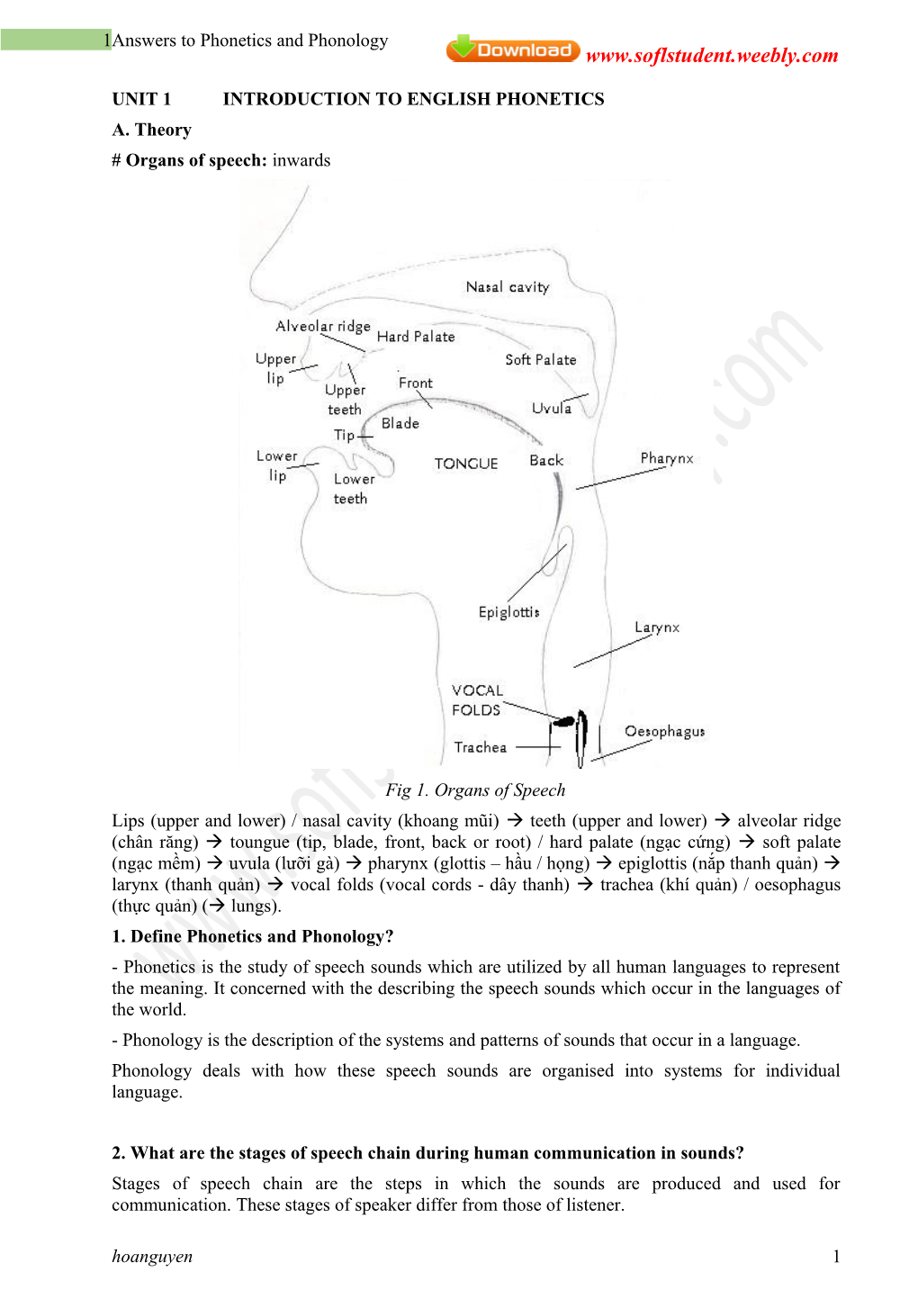 Answers to Phonetics and Phonology