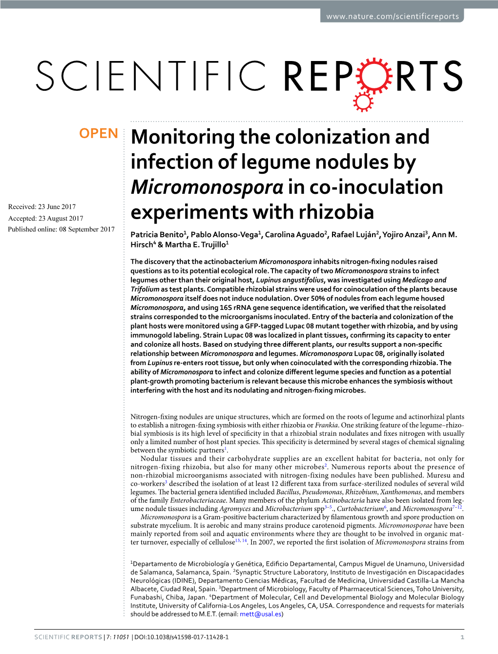 Monitoring the Colonization and Infection of Legume Nodules By