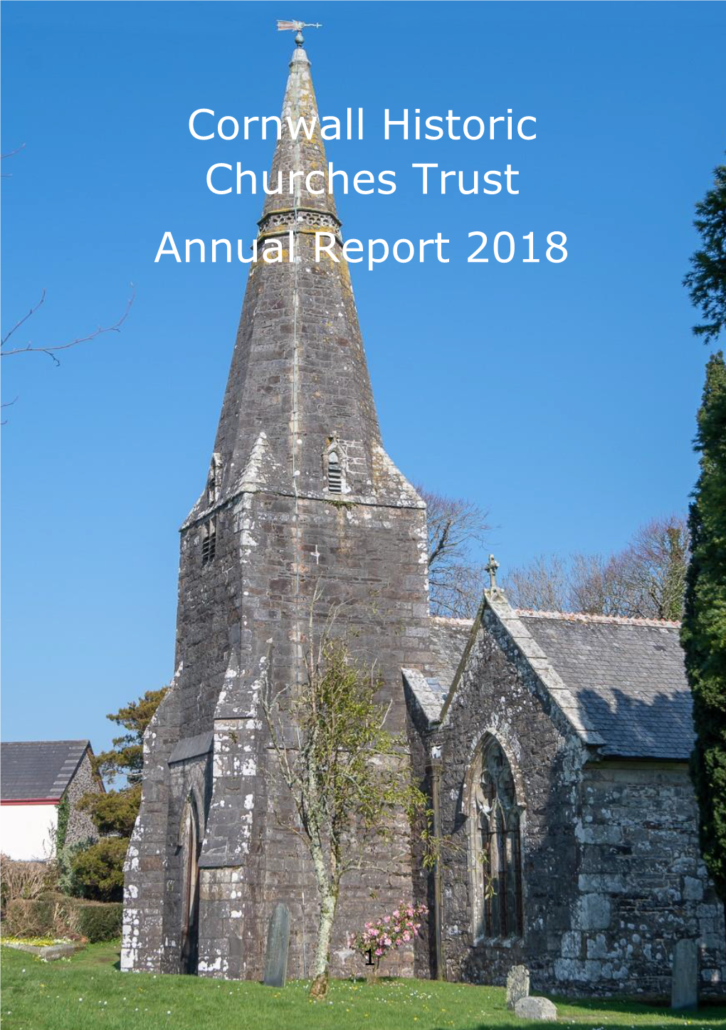 CHCT 2018 Annual Report
