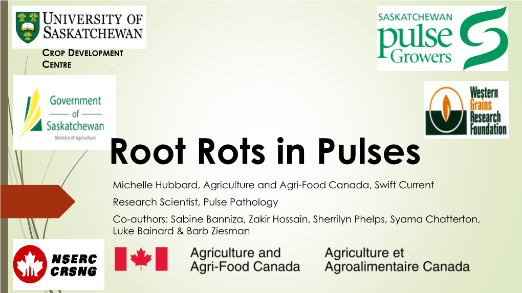 Root Rots in Pulses