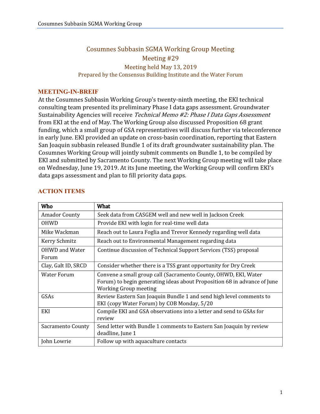 Cosumnes Subbasin SGMA Working Group Meeting Meeting #29 Meeting Held May 13, 2019 Prepared by the Consensus Building Institute and the Water Forum