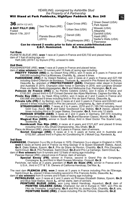 YEARLING, Consigned by Ashbrittle Stud the Property of a Partnership Will Stand at Park Paddocks, Highflyer Paddock M, Box 245